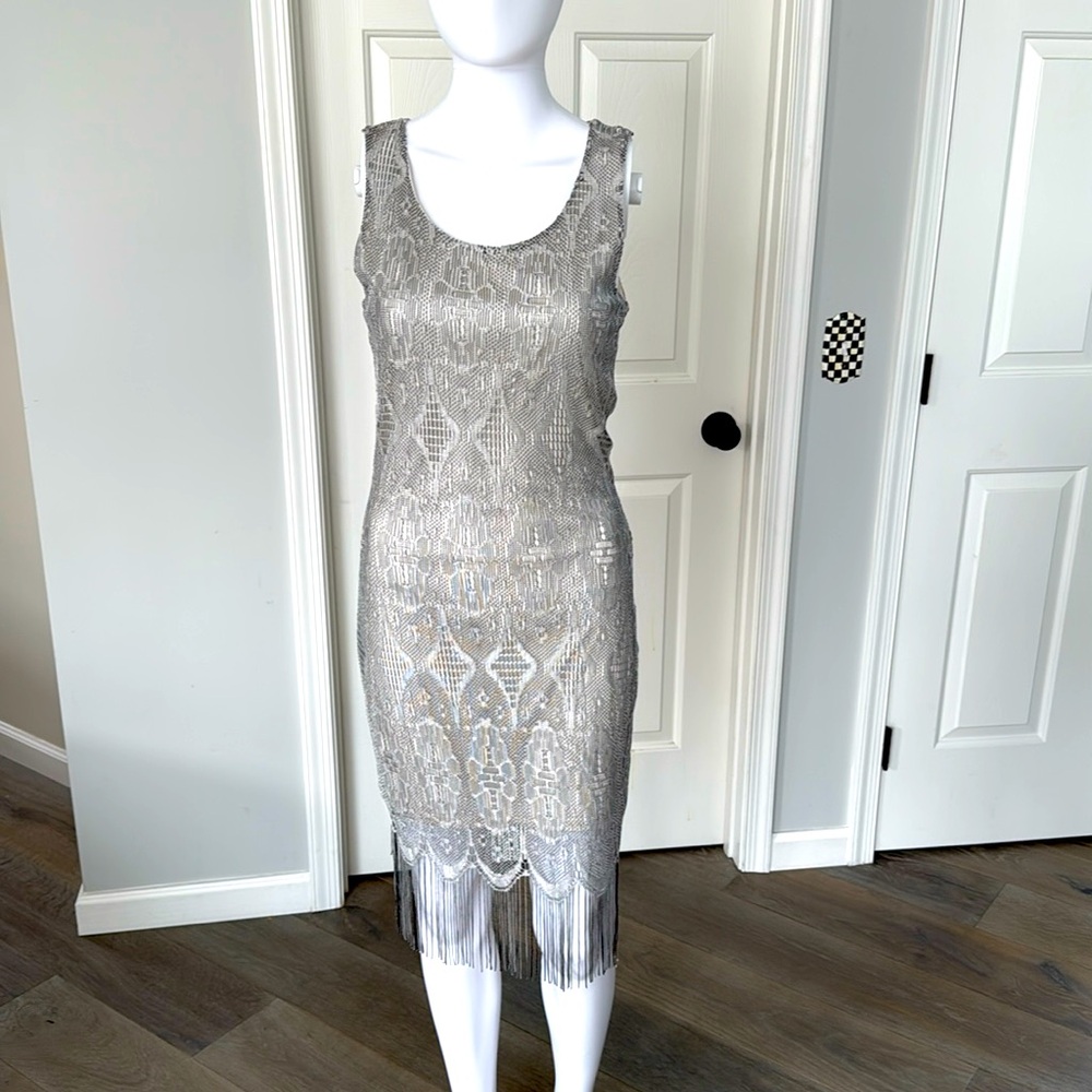 Silver Lace Crochet Bodycon Lined Dress with Fringe Hem Scoop Neck Sleeveless S - Picture 4 of 11